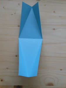 DSCN1354