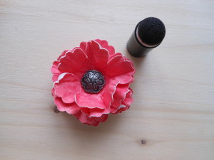 DSCN2135