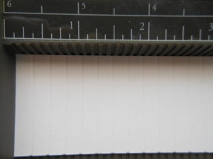 DSCN2375