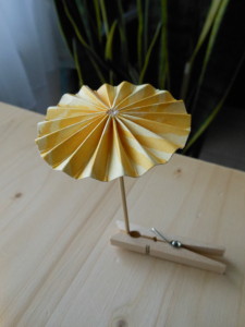 DSCN2461