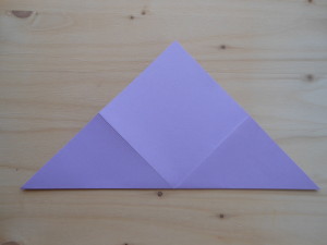 DSCN2967