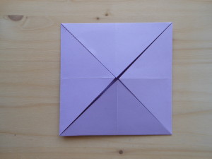 DSCN2970