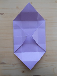 DSCN2974
