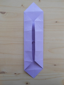 DSCN2975