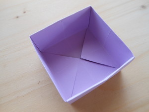 DSCN2981